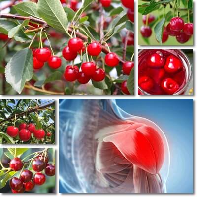 Cherries muscle recovery