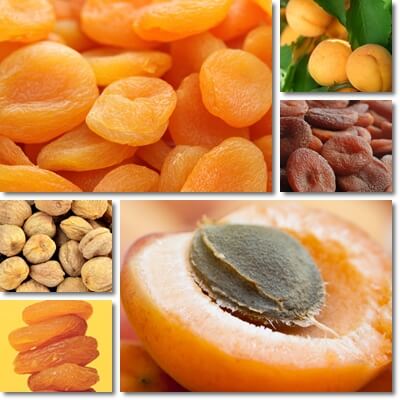 Dried apricots iron content