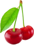 Montmorency cherries