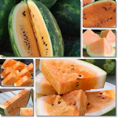 Orange watermelon benefits and nutrition