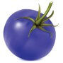 Blue tomato