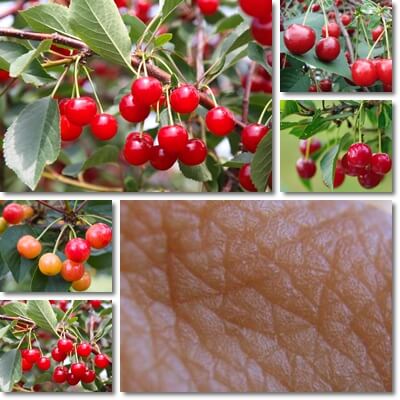 Cherries benefits for skin