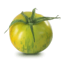 Green tomato