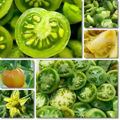 Green tomatoes benefits