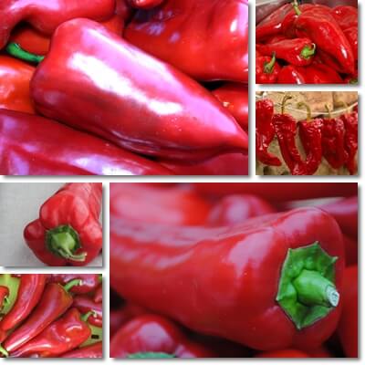 Kapia pepper