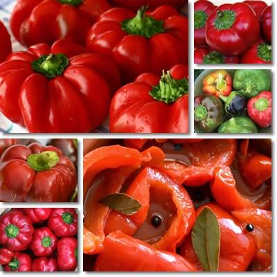 Round of Hungary peppers