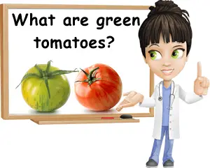 What are green tomatoes