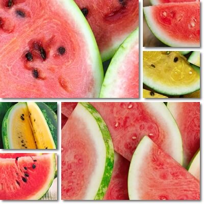 White part of watermelon benefits