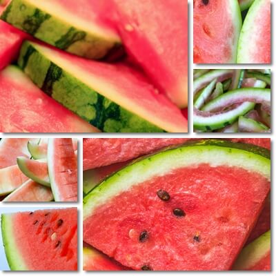 White part of watermelon