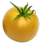 Yellow tomato