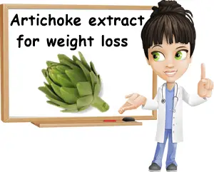 Artichoke extract for weight loss