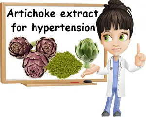 Artichoke extract high blood pressure