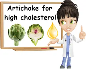 Artichoke for high cholesterol