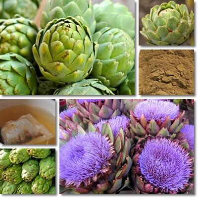 Artichoke high blood pressure