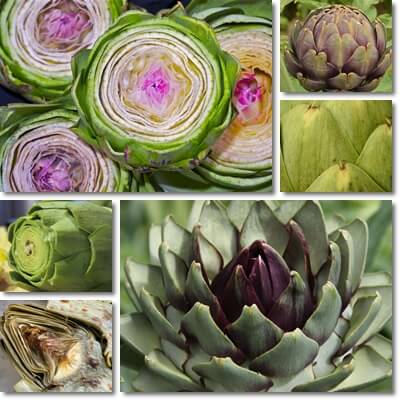 Artichoke leaf extract benefits