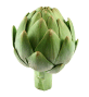 Artichoke tea