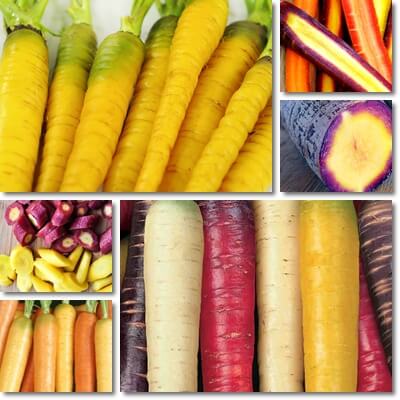 Yellow carrot benefits