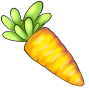 Yellow carrot