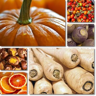 Fruits and vegetables in season in November