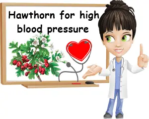 Hawthorn blood pressure