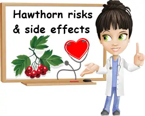 Hawthorn side effects and risks