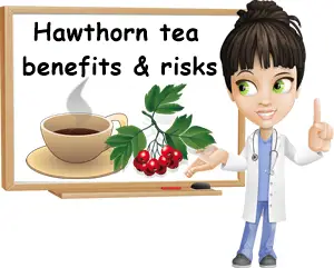 Hawthorn tea benefits and side effects