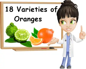 Varieties of oranges