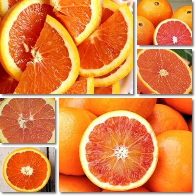 Cara Cara oranges