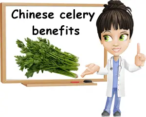 Chinese celery benefits