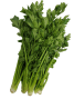 Chinese celery