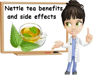 Nettle tea benefits and side effects