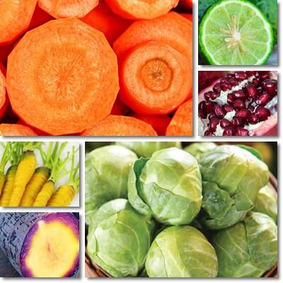 January fruits and vegetables