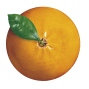 Satsuma