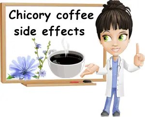 Chicory coffee side effects