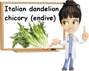 Italian dandelion chicory