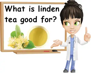Linden flower tea benefits