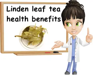 Linden leaf tea benefits