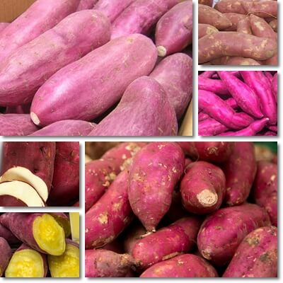 Red sweet potatoes