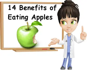 Benefits of eating apples