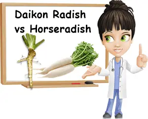 Daikon radish same as horseradish