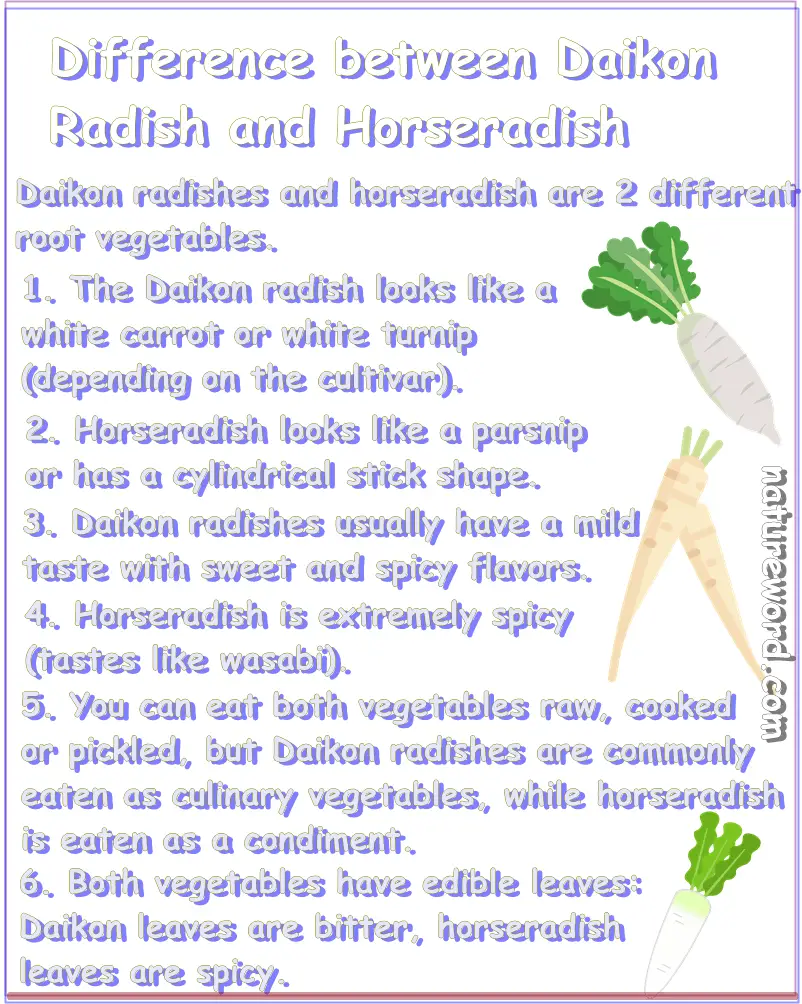 Daikon radish vs horseradish difference