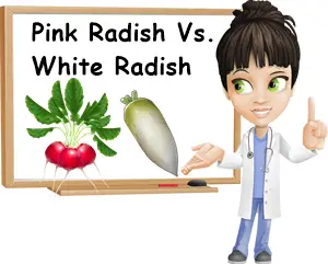 Difference pink white radishes