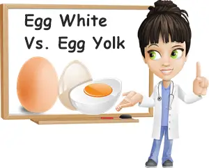 Egg white egg yolk difference