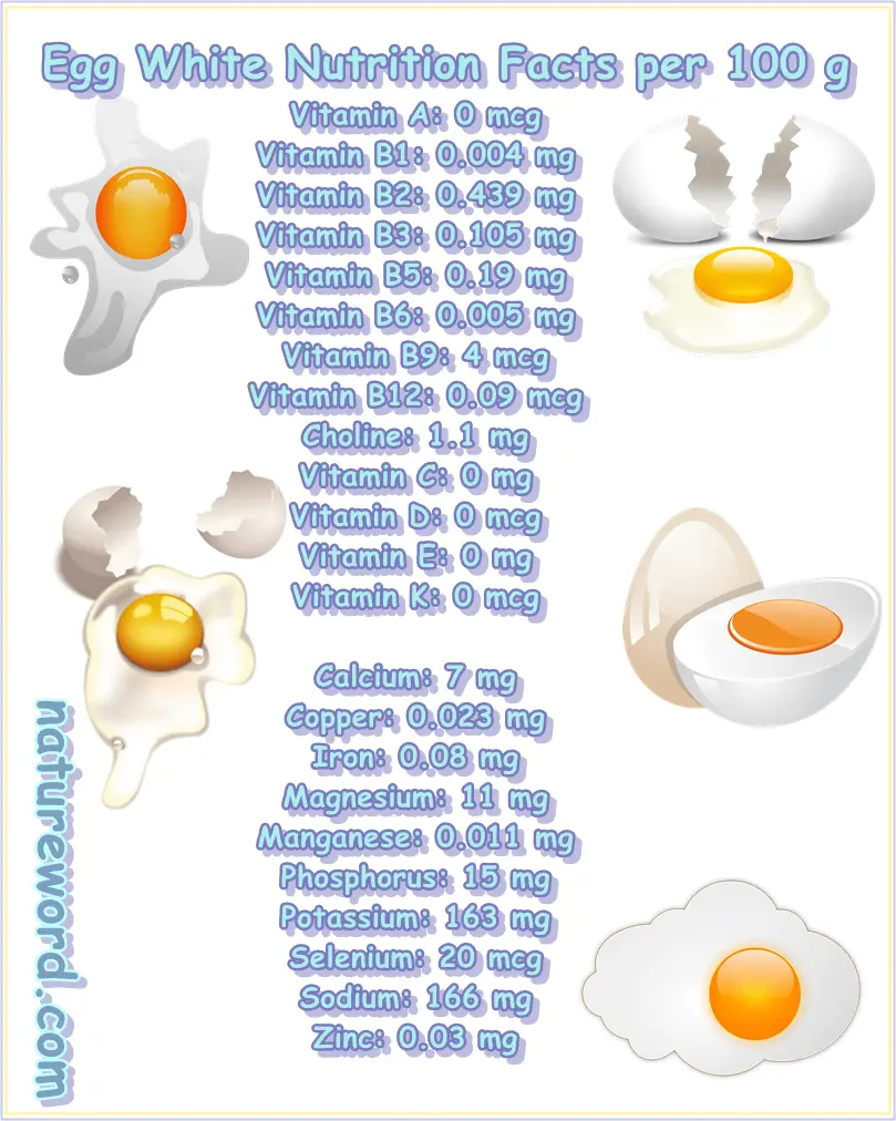 Egg white nutrition facts 100 g