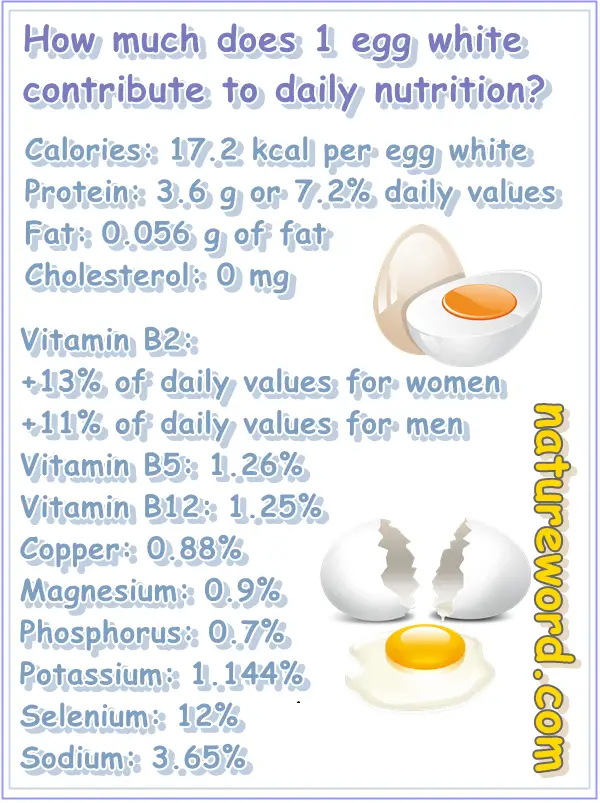 Egg white nutrition facts per one egg white