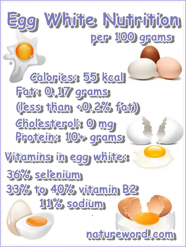 Egg white nutrition facts