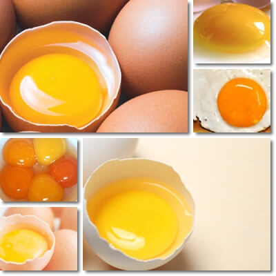 Egg white or egg yolk