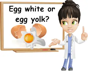 Egg white or yolk