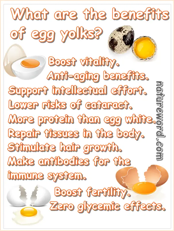 Egg yolk benefits