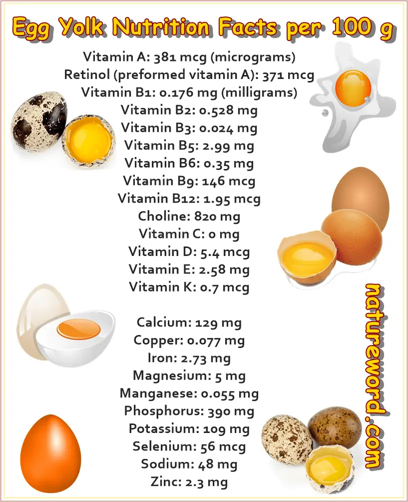 Egg yolk nutrition facts 100 g